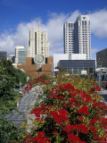 San Francisco Museum of Modern Art, California, USA