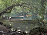 Buy Blue Lagoon near Port Antonio, Mexico at AllPosters.com