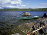 Sunny Day in Maine's Northern Forest, USA