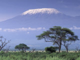 Mount Kilimanjaro, Amboseli National Park, Kenya