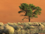 Buy Sossusvlei Dunes, Namib National Park, Namibia at AllPosters.com