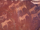 Pictograph, Engravings from Stone Age Culture, Twyfelfonstein Region, Namibia