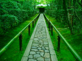 Zen Garden, Kyoto, Japan