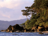 Shoreline and Rainforest, Masoala Peninsula, Madagascar Photographic Print