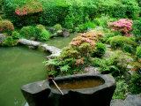 Buy Zen Garden, Kyoto, Japan at AllPosters.com