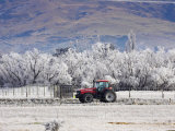 Buy Tractor and Hoar Frost, Sutton, Otago, South Island, New Zealand at AllPosters.com