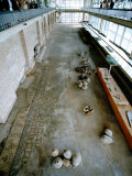 Edificial Roman Mosaic and Ancient Pottery Jars, Constanta, Romania