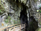 Buy Kawiti Glow Worm Caves, near Kawakawa, Northland, New Zealand at AllPosters.com