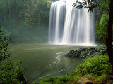Whangarei Falls, Whangarei, Northland, New Zealand