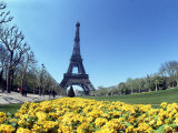 Buy Eiffel Tower, Paris, France at AllPosters.com