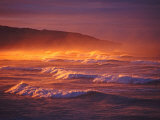 St Clair Beach, Dunedin, New Zealand