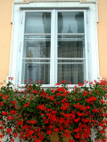 Flowers in Window Box, Lower Town, Zagreb, Croatia