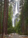 Upper and Lower Yosemite Falls. Yosemite National Park, CA