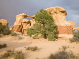 Sandstone Hoodoos of Devils Garden, Grand Staircase Escalante National Monument, Utah, USA