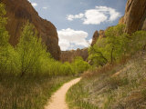 Calf Creek Trail, Grand Staircase Escalante National Monument, Utah, USA