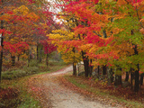 Vermont Country Road in Fall, USA