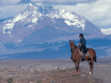 Buy Sheep Herd and Gaucho, Patagonia, Argentina at AllPosters.com