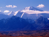 Mt. Denali and Muldrow Glacier Covered with Veneer of Vegetation, Alaska, USA