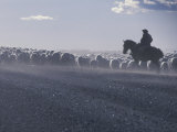 Buy Gaucho, Patagonia, Argentina at AllPosters.com