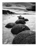Otago Coast, New Zealand Art Print