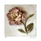 Sand Lisianthus