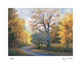 Autumn Road