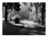 Path into the Woods, Burgundy Art Print