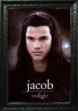Buy Twilight at AllPosters.com