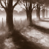 Buy Path by Field at AllPosters.com