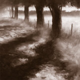 Buy Trees Along Path at AllPosters.com