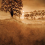 Buy Misty Mountain at AllPosters.com