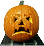 Single Pumpkin