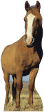 Buy Horse at AllPosters.com