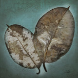 Buy Beauty in Blue I at AllPosters.com