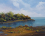 Buy Still Waters at AllPosters.com
