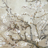 Almond Branches in Bloom, San Remy, c.1890 (tan)