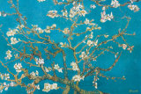 Blühende Mandelbaumzweige, San Remy, ca. 1890 Kunstdruck