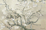 Almond Branches in Bloom, San Remy, c.1890 (tan) Art Print