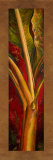 Buy Red Plantain at AllPosters.com