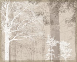 Luminous II