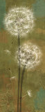 Buy Soft Breeze II at AllPosters.com