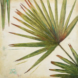 Organic II