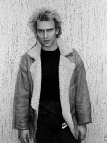 Musician Sting