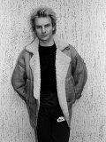 Musician Sting
