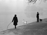 Buy Hyde Park in Winter at AllPosters.com