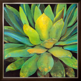 Buy Agave at AllPosters.com