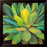 Buy Agave at AllPosters.com