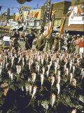 VP Richard Nixon at Turkey Parade During Appearance in Support of GOP Congressional Campaign