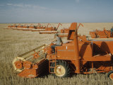 Harvest Story: Combines Harvest Wheat at Ranch in Texas