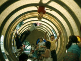 Buy Children at Play in New York City Playgrounds at AllPosters.com